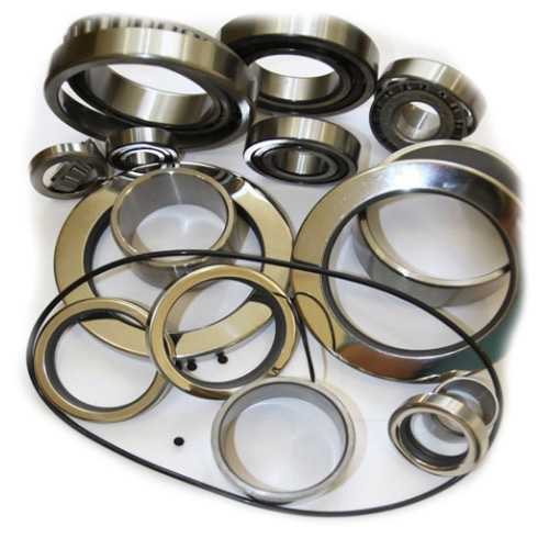 88111679 Remeza Ремкомплект подшипников и уплотнений СЕ55R2/ R3/RB1/RW